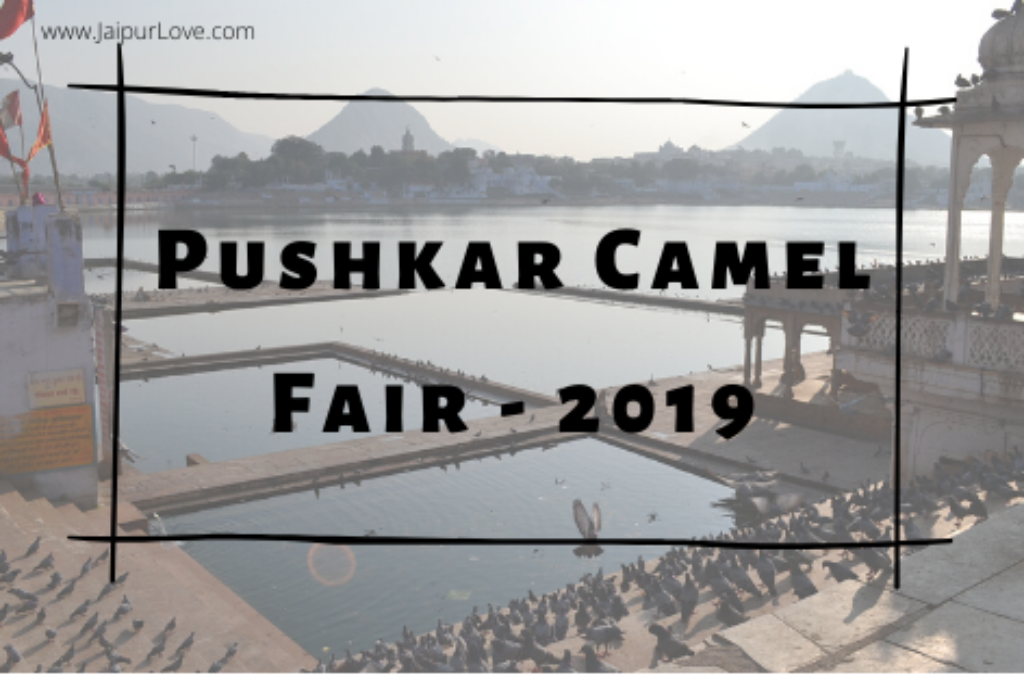 Pushkar Fair 2019: Answering Your Pushkar Camel Fair Questions