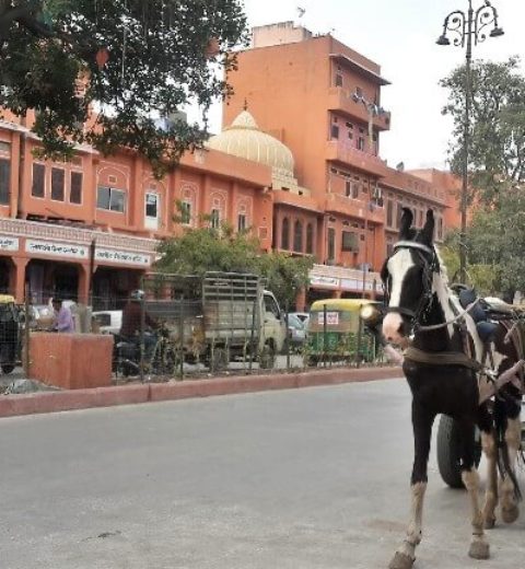 Chandpole Bazar Jaipur: How to Reach, Best Things to Do, Shopping Info