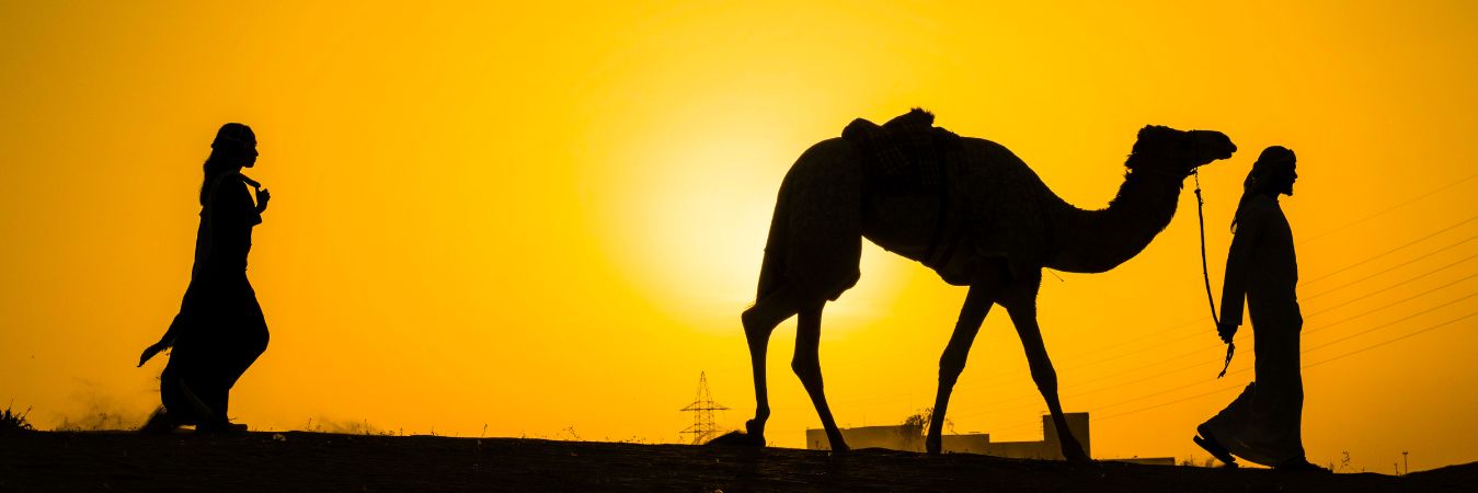 Desert Safari Jaisalmer : Top 5 Service Provider’s List