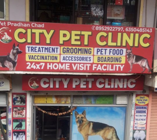 City Pet Clinic, Nirman Nagar