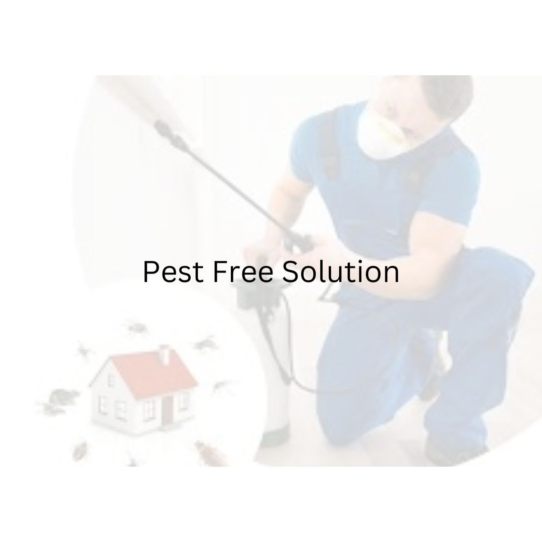 Pest Free Solution